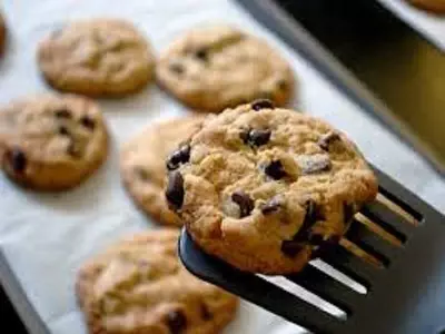 Resep Oatmeal Chocochips Cookies